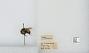 Bombus (Pyrobombus) flavifrons
