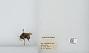 Bombus (Pyrobombus) flavifrons