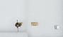 Bombus (Pyrobombus) flavifrons