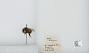 Bombus (Pyrobombus) flavifrons