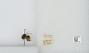 Bombus (Pyrobombus) flavifrons