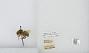 Bombus (Pyrobombus) flavifrons