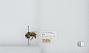 Bombus (Pyrobombus) frigidus