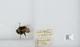Bombus (Pyrobombus) haematurus