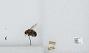 Bombus (Pyrobombus) impatiens