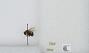 Bombus (Pyrobombus) impatiens