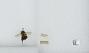 Bombus (Pyrobombus) impatiens