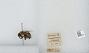 Bombus (Pyrobombus) impatiens
