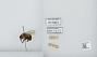 Bombus (Pyrobombus) impatiens