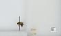 Bombus (Pyrobombus) impatiens