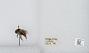Bombus (Pyrobombus) melanopygus