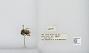 Bombus (Pyrobombus) mixtus