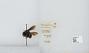 Bombus (Pyrobombus) mixtus