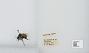 Bombus (Pyrobombus) mixtus