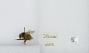 Bombus (Pyrobombus) mixtus