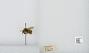 Bombus (Pyrobombus) mixtus