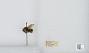 Bombus (Pyrobombus) mixtus