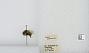 Bombus (Pyrobombus) mixtus