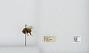 Bombus (Pyrobombus) mixtus