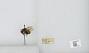 Bombus (Pyrobombus) mixtus