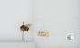Bombus (Pyrobombus) mixtus