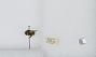 Bombus (Pyrobombus) mixtus