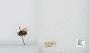 Bombus (Pyrobombus) mixtus
