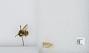 Bombus (Pyrobombus) mixtus