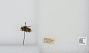 Bombus (Pyrobombus) mixtus