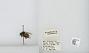 Bombus (Pyrobombus) mixtus