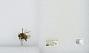 Bombus (Pyrobombus) mixtus
