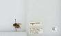 Bombus (Pyrobombus) mixtus