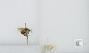 Bombus (Pyrobombus) mixtus