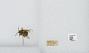 Bombus (Pyrobombus) mixtus