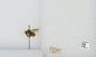 Bombus (Pyrobombus) mixtus