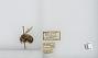 Bombus (Pyrobombus) mixtus