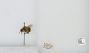 Bombus (Pyrobombus) mixtus