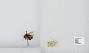 Bombus (Pyrobombus) mixtus