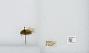 Bombus (Pyrobombus) mixtus