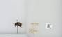 Bombus (Pyrobombus) mixtus