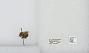Bombus (Pyrobombus) mixtus