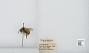 Bombus (Pyrobombus) mixtus