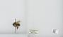 Bombus (Pyrobombus) mixtus