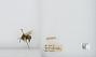 Bombus (Pyrobombus) mixtus