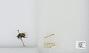 Bombus (Pyrobombus) mixtus