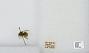 Bombus (Pyrobombus) mixtus