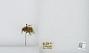 Bombus (Pyrobombus) mixtus