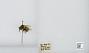 Bombus (Pyrobombus) mixtus