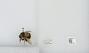 Bombus (Pyrobombus) mixtus