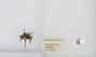 Bombus (Pyrobombus) mixtus
